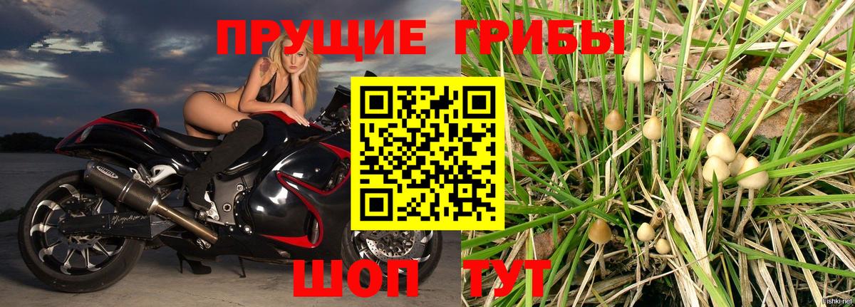 Галлюциногенные грибы прущие грибы  Вход с VPN  Ефремов 