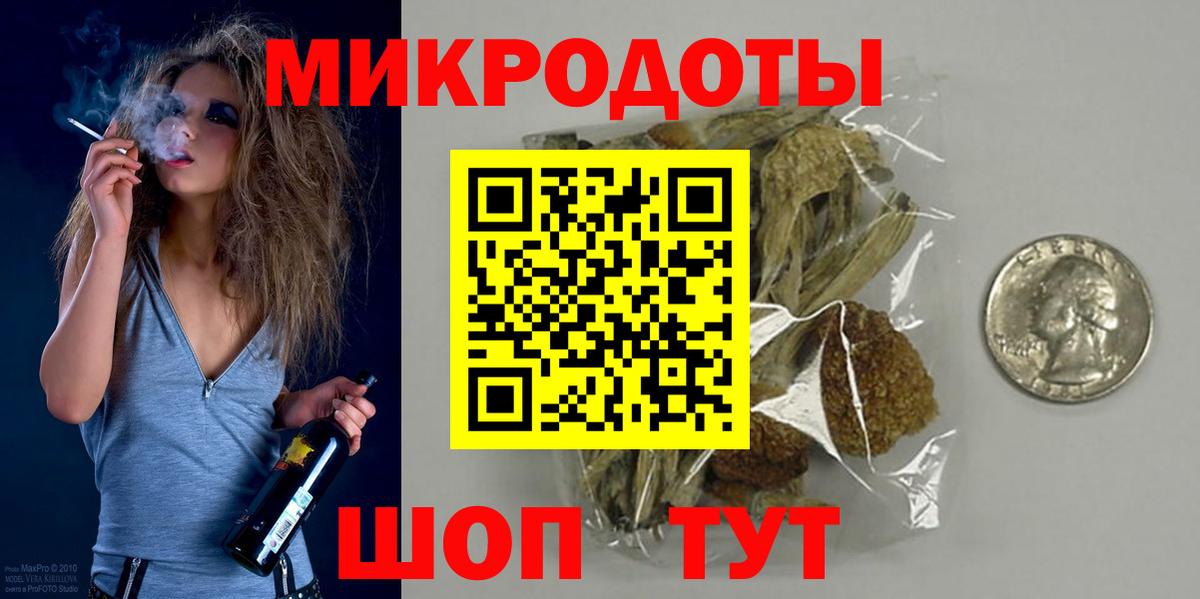Галлюциногенные грибы Psilocybe Ефремов